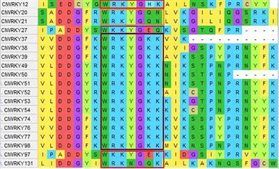 Characterization of WRKY Gene Family in Whole-Genome and Exploration of Flowering Improvement Genes in Chrysanthemum lavandulifolium